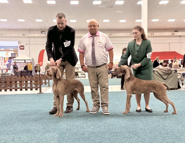 vystava-nitra-stavače7